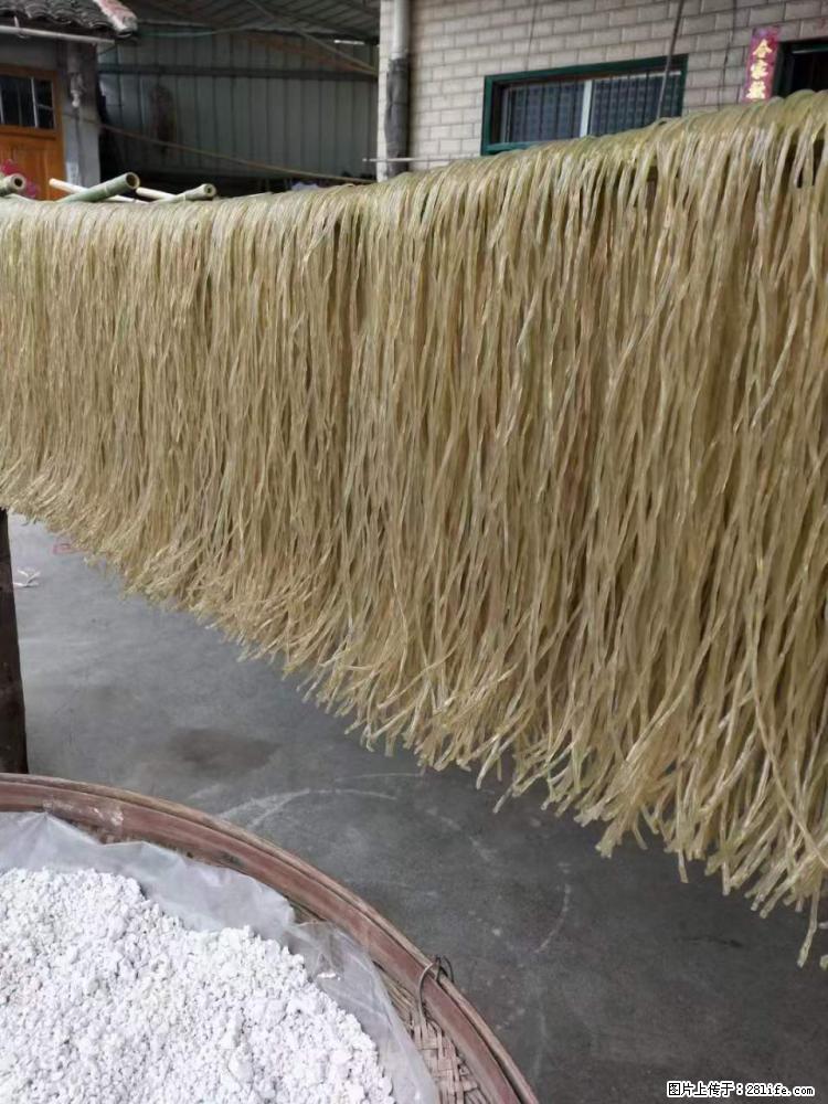 【灌阳正宗红薯粉】美女家里自己做的，干净卫生，假一赔十，价格合理，抢购电话：13737312895 - 美食天地 - 鄂尔多斯生活社区 - 鄂尔多斯28生活网 erds.28life.net