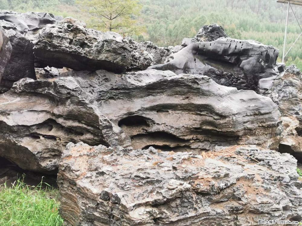 风景石、假山石大量有货，有需要的欢迎联系 - 新手上路 - 鄂尔多斯生活社区 - 鄂尔多斯28生活网 erds.28life.net