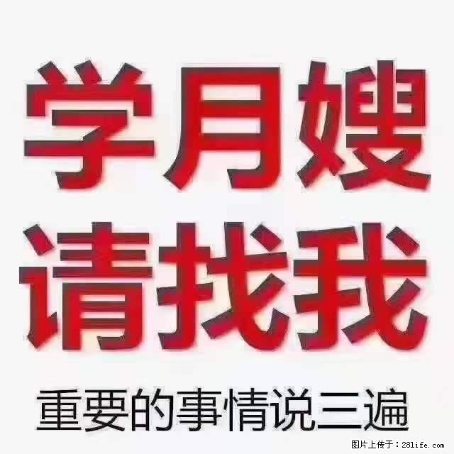 为什么要学习月嫂，育婴师？ - 其他广告 - 广告专区 - 鄂尔多斯分类信息 - 鄂尔多斯28生活网 erds.28life.net