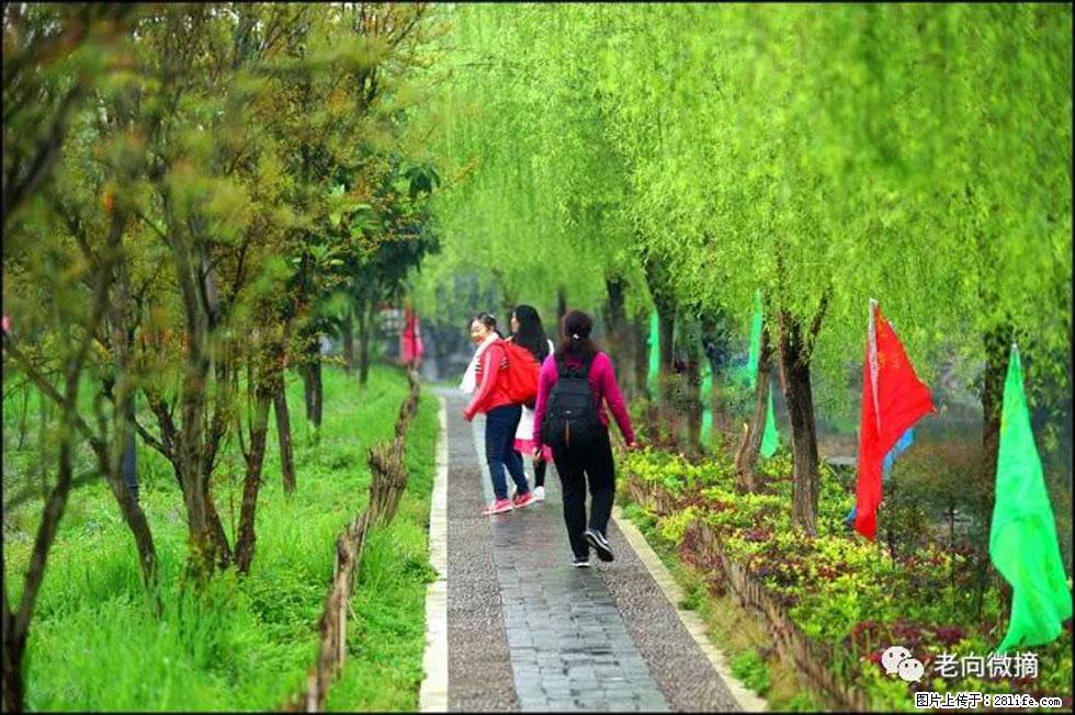 【春天，广西桂林灌阳县向您发出邀请！】江口老街又逢春 - 游山玩水 - 鄂尔多斯生活社区 - 鄂尔多斯28生活网 erds.28life.net