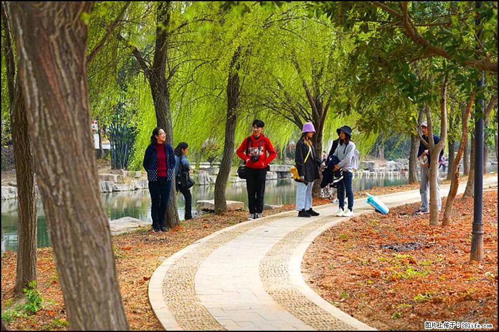 【春天，广西桂林灌阳县向您发出邀请！】江口老街又逢春 - 游山玩水 - 鄂尔多斯生活社区 - 鄂尔多斯28生活网 erds.28life.net