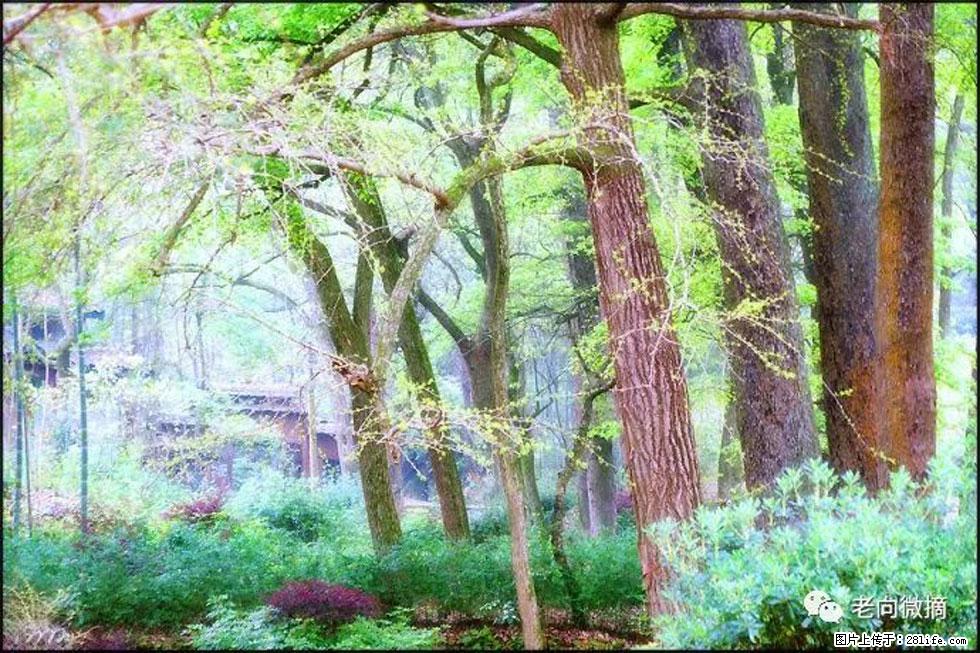 【春天，广西桂林灌阳县向您发出邀请！】在小龙村与春天约会 - 游山玩水 - 鄂尔多斯生活社区 - 鄂尔多斯28生活网 erds.28life.net