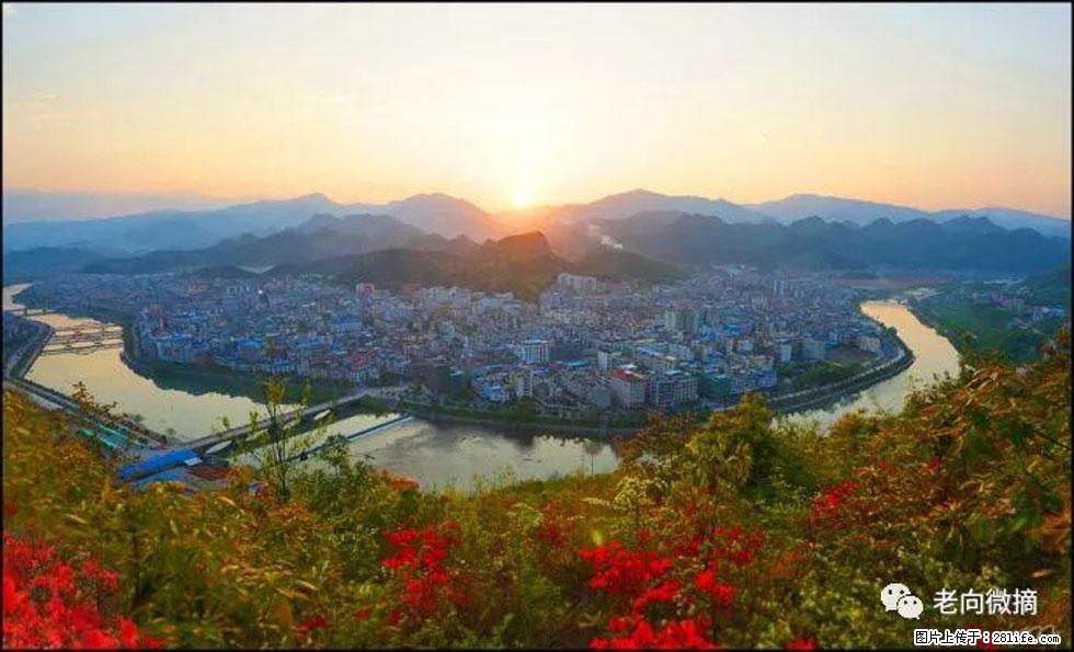 【春天，广西桂林灌阳县向您发出邀请！】登麒麟山，相约映山红 - 游山玩水 - 鄂尔多斯生活社区 - 鄂尔多斯28生活网 erds.28life.net