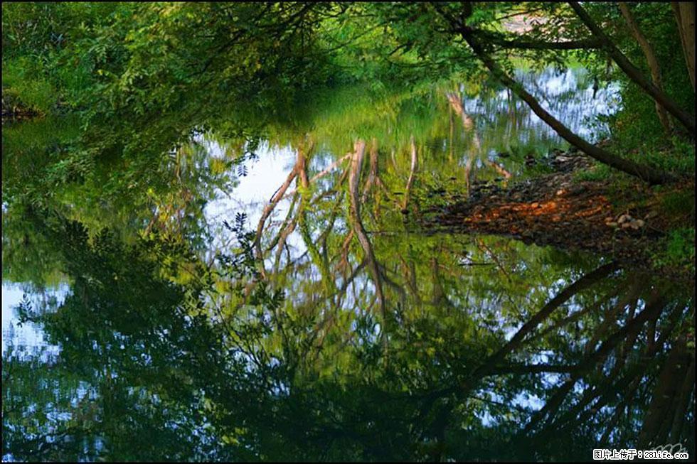 【春天，广西桂林灌阳县向您发出邀请！】熊家寨湿地公园 - 游山玩水 - 鄂尔多斯生活社区 - 鄂尔多斯28生活网 erds.28life.net