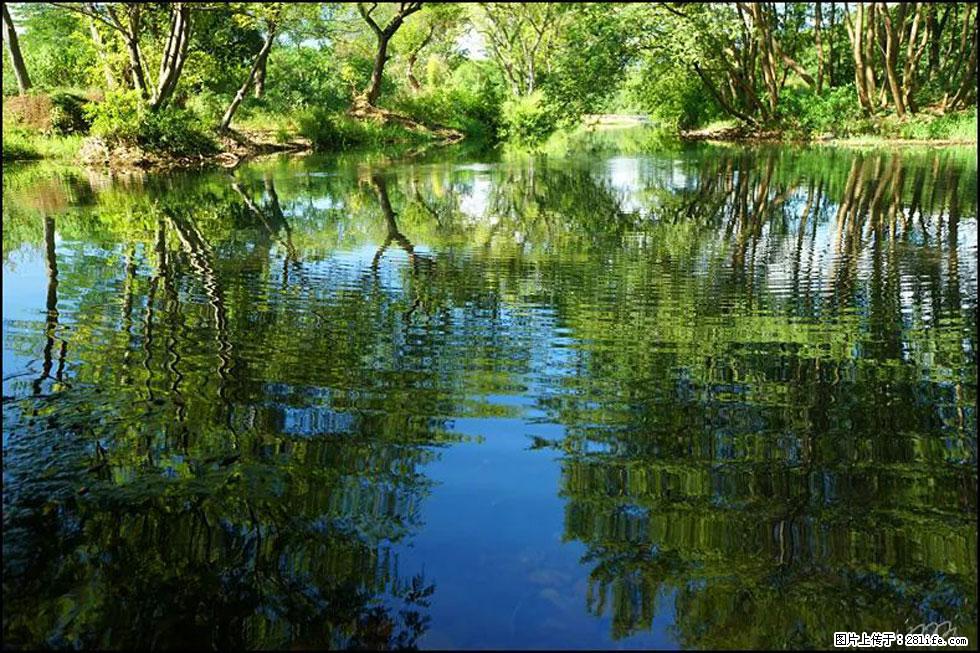 【春天，广西桂林灌阳县向您发出邀请！】熊家寨湿地公园 - 游山玩水 - 鄂尔多斯生活社区 - 鄂尔多斯28生活网 erds.28life.net