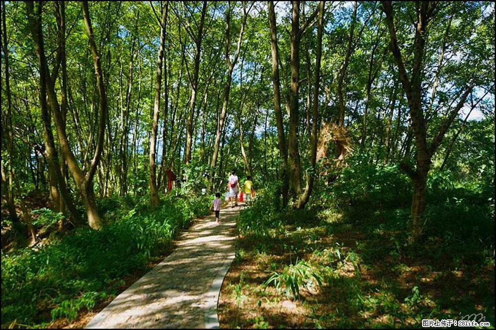 【春天，广西桂林灌阳县向您发出邀请！】熊家寨湿地公园 - 游山玩水 - 鄂尔多斯生活社区 - 鄂尔多斯28生活网 erds.28life.net