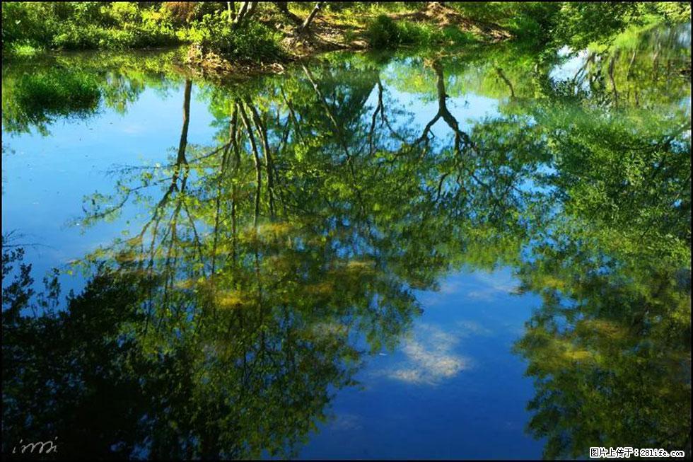 【春天，广西桂林灌阳县向您发出邀请！】熊家寨湿地公园 - 游山玩水 - 鄂尔多斯生活社区 - 鄂尔多斯28生活网 erds.28life.net