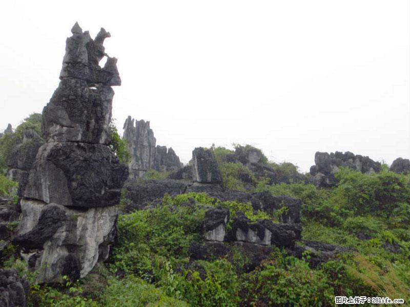 桂林旅游名城景点：灌阳文市石林 - 游山玩水 - 鄂尔多斯生活社区 - 鄂尔多斯28生活网 erds.28life.net