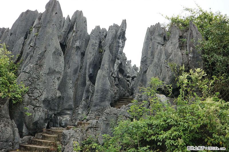 桂林旅游名城景点：灌阳文市石林 - 游山玩水 - 鄂尔多斯生活社区 - 鄂尔多斯28生活网 erds.28life.net