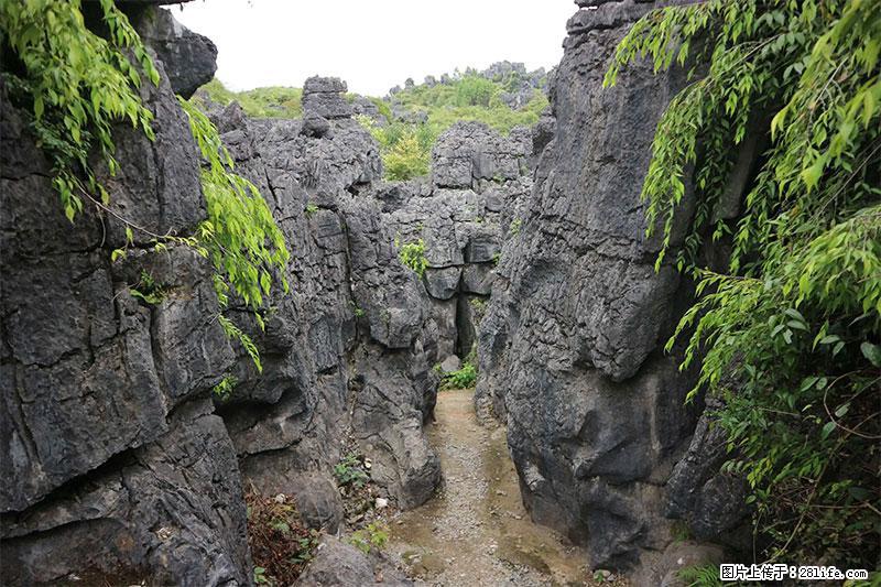 桂林旅游名城景点：灌阳文市石林 - 游山玩水 - 鄂尔多斯生活社区 - 鄂尔多斯28生活网 erds.28life.net