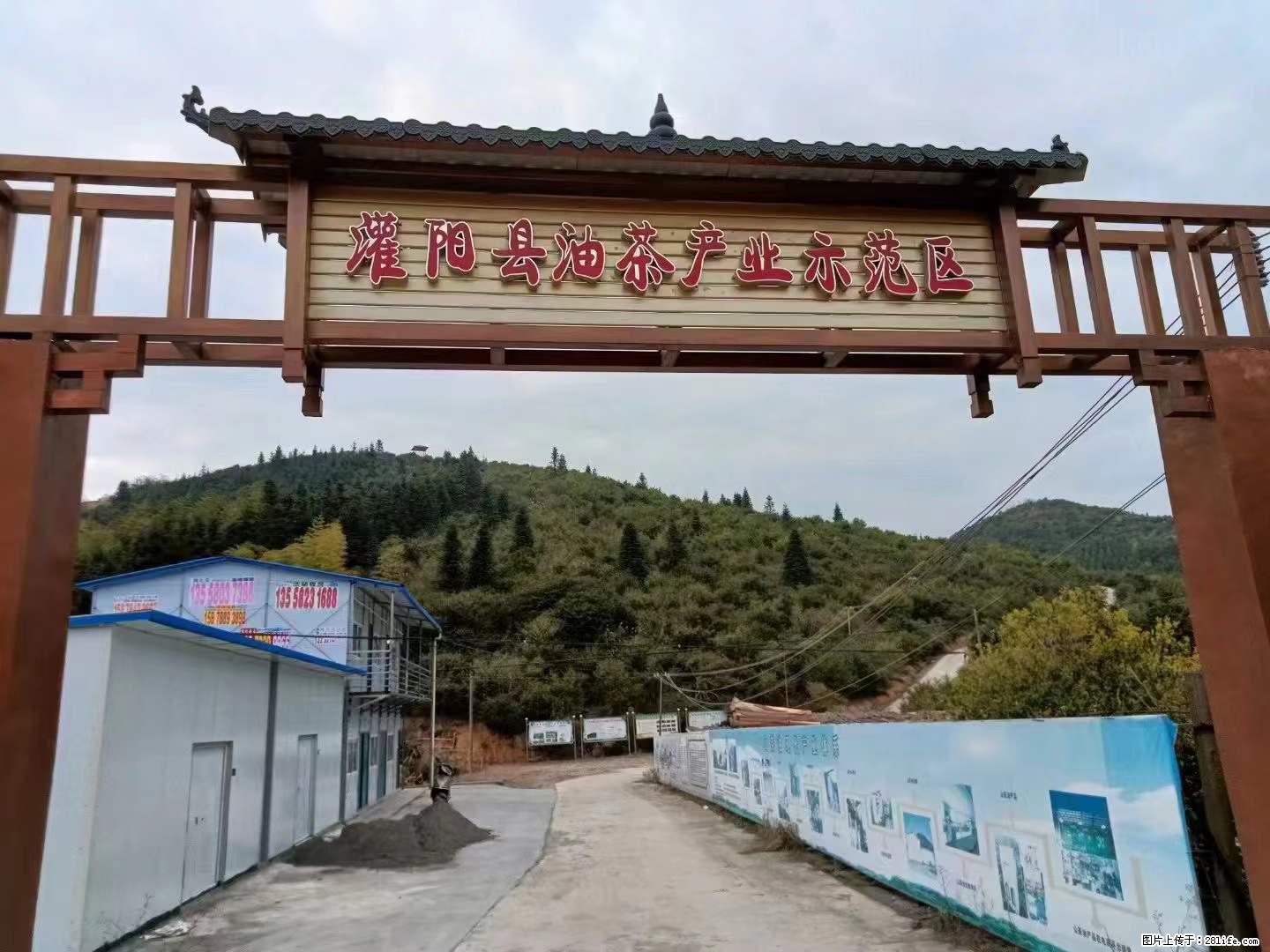 【灌阳县油茶产业示范区】一个有着充实的精神生活的人，对待身外之物自会有一种淡泊的态度 - 土特产 - 饮食特产 - 鄂尔多斯分类信息 - 鄂尔多斯28生活网 erds.28life.net