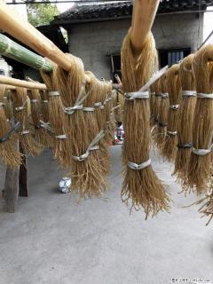 【灌阳正宗红薯粉】美女家里自己做的，干净卫生，假一赔十，价格合理，抢购电话：13737312895 - 鄂尔多斯28生活网 erds.28life.net