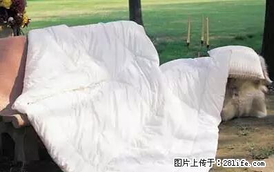 被子有异味？只要这样做，比晒太阳还强100倍！ - 家居生活 - 鄂尔多斯生活社区 - 鄂尔多斯28生活网 erds.28life.net