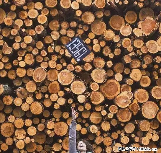 辞掉工作周游世界？现在他们在洗厕所…… - 游山玩水 - 鄂尔多斯生活社区 - 鄂尔多斯28生活网 erds.28life.net