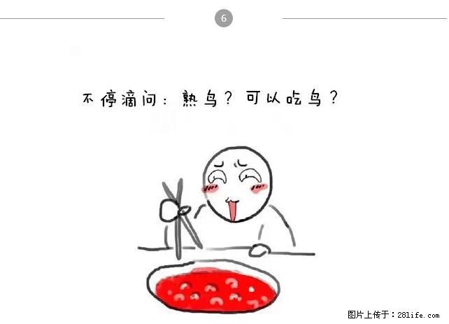 千万不要和这9种哈卵一起吃火锅！ - 美食天地 - 鄂尔多斯生活社区 - 鄂尔多斯28生活网 erds.28life.net