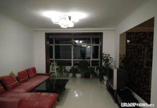 杨家渠附近{新园小区}精装大三居带全套家具 - 鄂尔多斯28生活网 erds.28life.net