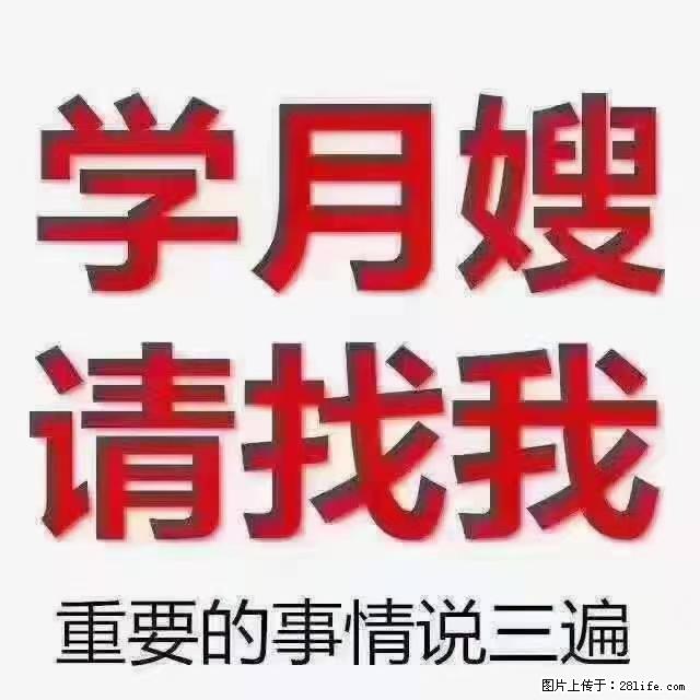 【招聘】月嫂，上海徐汇区 - 职场交流 - 鄂尔多斯生活社区 - 鄂尔多斯28生活网 erds.28life.net