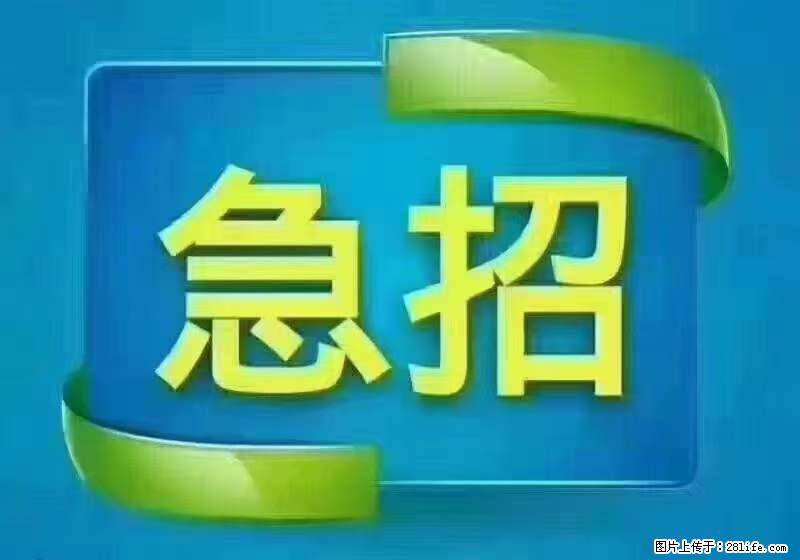 招出纳8000元/月，无证可以，要有相关经验，上海五险一金，包住，包工作餐，做六休一。 - 职场交流 - 鄂尔多斯生活社区 - 鄂尔多斯28生活网 erds.28life.net