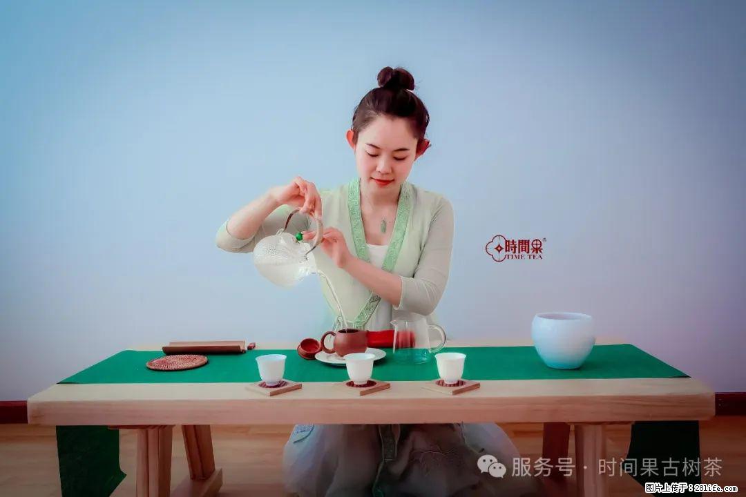 时间果百年古树龙珠普洱生茶 - 购物交流 - 鄂尔多斯生活社区 - 鄂尔多斯28生活网 erds.28life.net