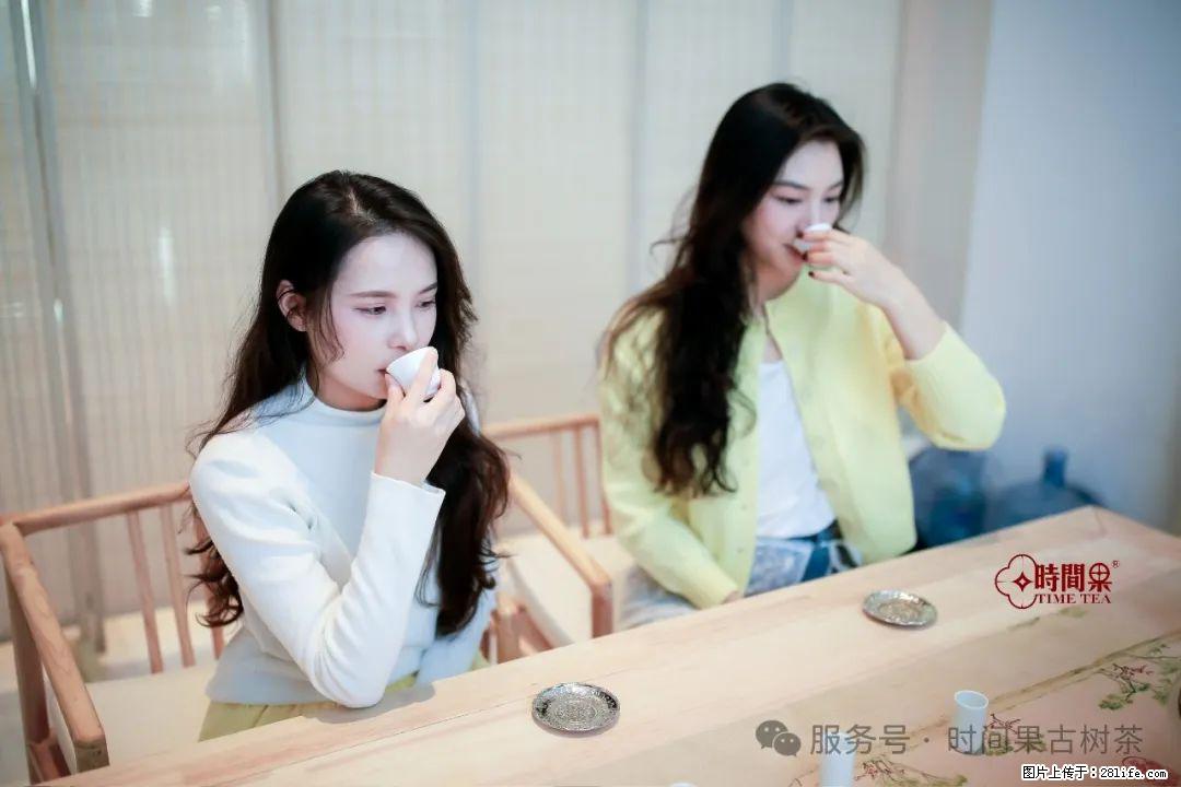 时间果百年古树龙珠普洱生茶 - 购物交流 - 鄂尔多斯生活社区 - 鄂尔多斯28生活网 erds.28life.net
