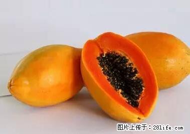 晕车、脚气、牙齿变黄、皮肤粗糙？学会这些三分钟搞定！ - 鄂尔多斯生活资讯 - 鄂尔多斯28生活网 erds.28life.net
