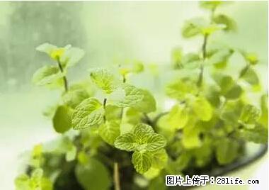 晕车、脚气、牙齿变黄、皮肤粗糙？学会这些三分钟搞定！ - 鄂尔多斯生活资讯 - 鄂尔多斯28生活网 erds.28life.net