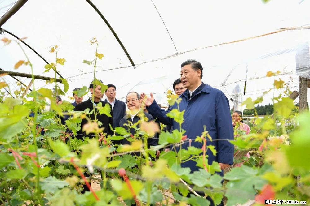 习近平赴广西考察调研 - 鄂尔多斯生活资讯 - 鄂尔多斯28生活网 erds.28life.net
