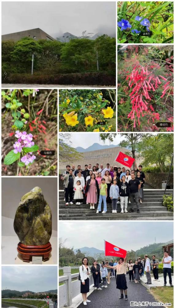 “粤灌文化 美好生活”油茶文化主题活动在广东深圳成功举办 - 鄂尔多斯生活资讯 - 鄂尔多斯28生活网 erds.28life.net