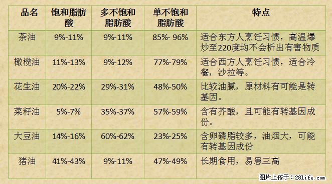 揭秘茶油的5大核心营养成分！被称为人体健康的“守护盾”！ - 鄂尔多斯生活资讯 - 鄂尔多斯28生活网 erds.28life.net