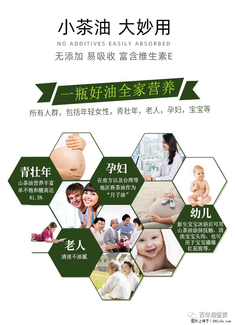 世界没有真相，只有认知，最好的食用油是中国的山茶油！ - 鄂尔多斯生活资讯 - 鄂尔多斯28生活网 erds.28life.net