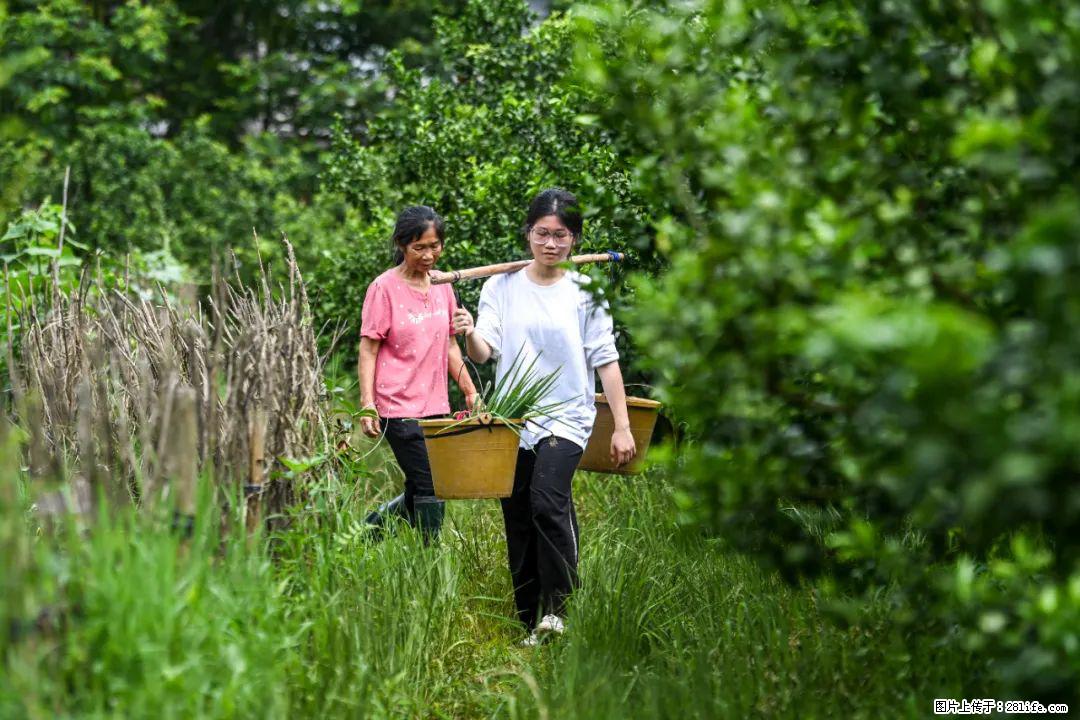 全网追的“扁担女孩”，找了一份暑假工，时薪12元 - 鄂尔多斯生活资讯 - 鄂尔多斯28生活网 erds.28life.net