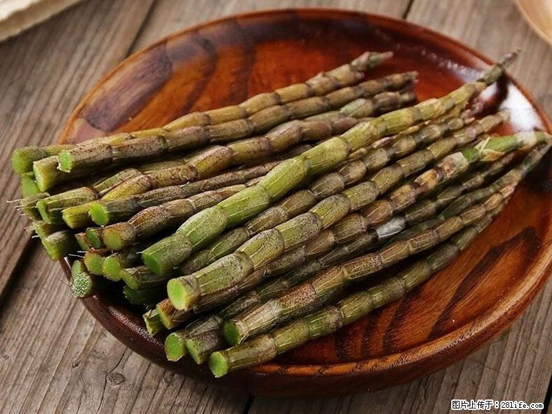 铁皮石斛的作用与功能主治 - 鄂尔多斯生活资讯 - 鄂尔多斯28生活网 erds.28life.net