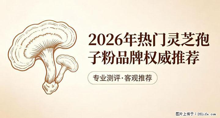 灵芝孢子粉含量越高越有效？2026 年七款热门品牌深度实测，肠胃敏感者避坑指南 - 鄂尔多斯生活资讯 - 鄂尔多斯28生活网 erds.28life.net